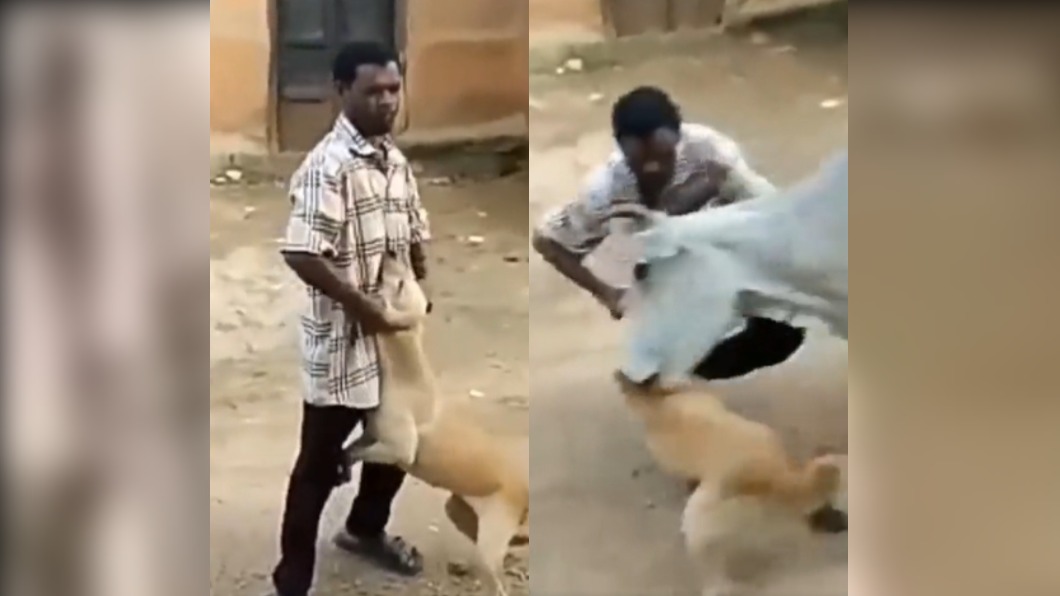男子虐狗遭母牛衝種倒地。（圖／翻攝自@susantananda3 Twitter）