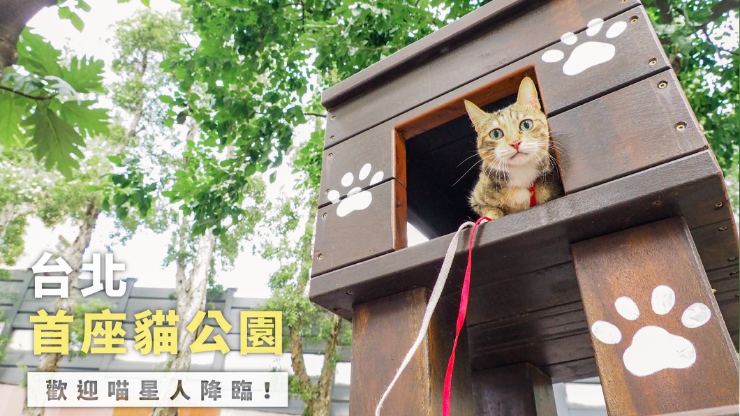 柯文哲宣布北市首座貓公園落成。（圖／翻攝自柯文哲臉書）