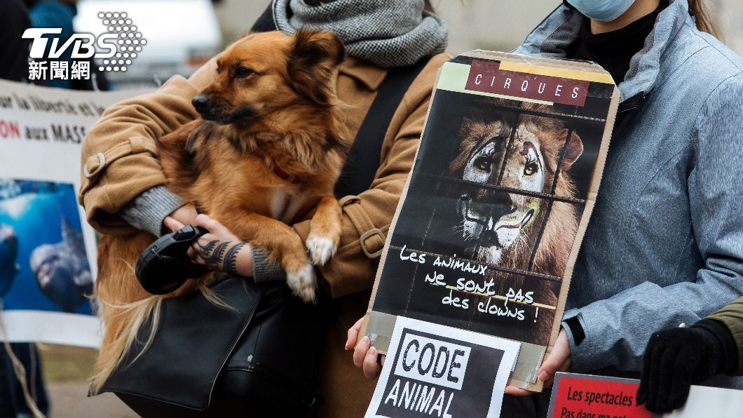 法國通過動物愛護法案，將禁止一系列動物秀。（圖／達志影像美聯社）
