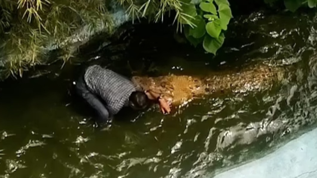 受害遊客遭鱷魚狠咬。（圖／翻攝自每日郵報官網）