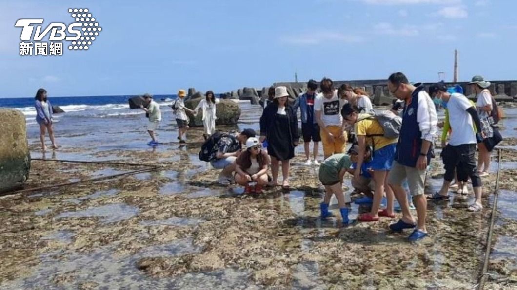 小琉球潮間帶生物大量死亡，屏東縣政府表示將限制遊客數。（圖／中央社）