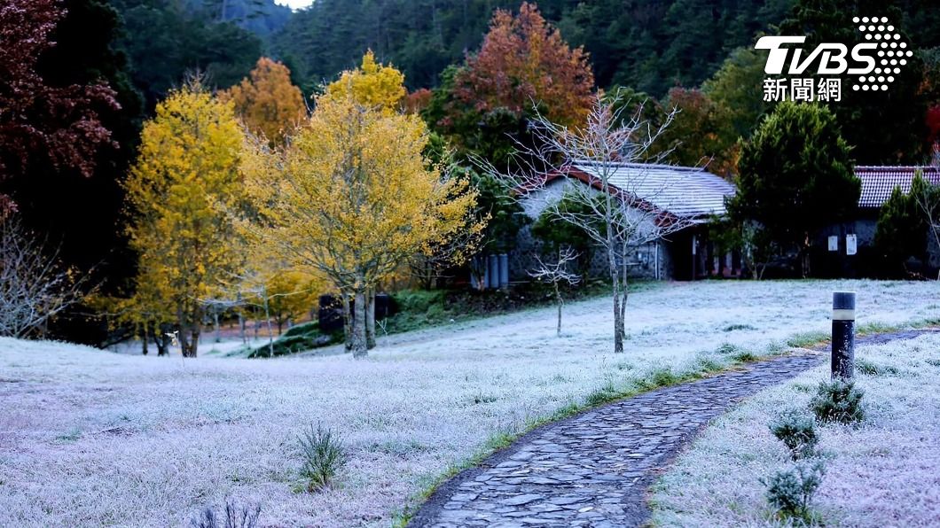 武陵農場園區地面結上一層白霜，目睹遊客讚「來到北國」。（圖／中央社）
