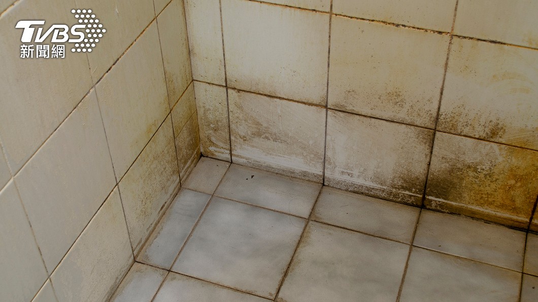許多人家中浴室沒有對外窗，導致環境潮溼，角落也長出水垢。（示意圖／Shutterstock達志影像）
