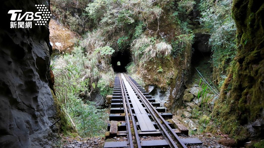 阿里山林鐵眠月線將於111年1月17日至4月30日封閉施工。（圖／中央社）
