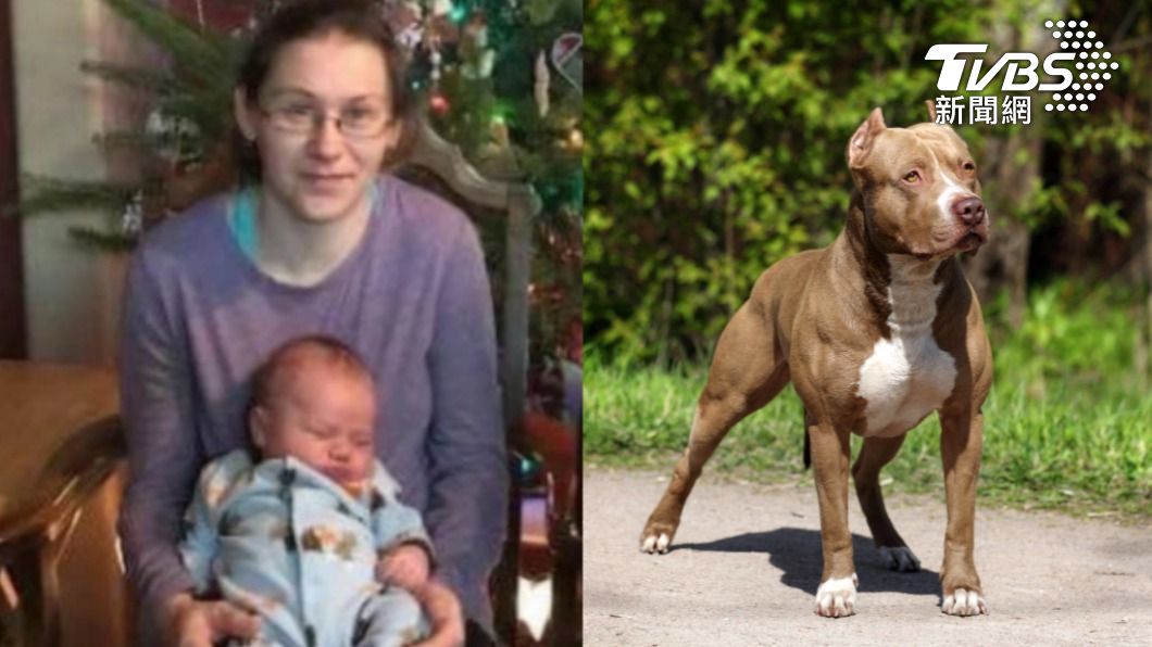 美國媽為救兒子被比特犬攻擊致死。（圖／翻攝自Shannon Pingel臉書、shutterstock 達志影像）