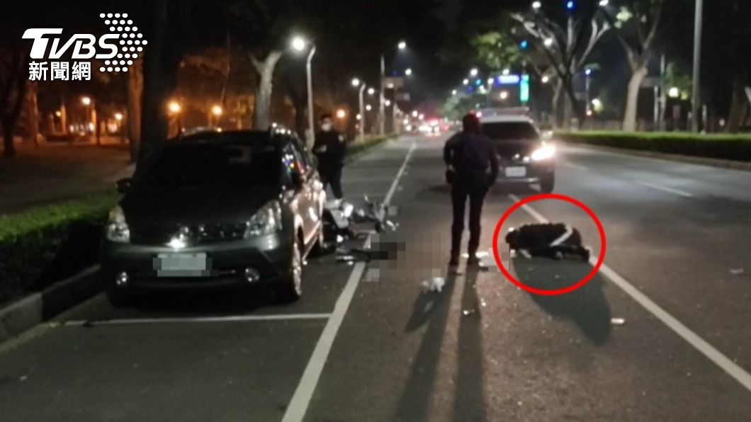高雄男子酒駕自撞，跪趴路邊。（圖／TVBS）