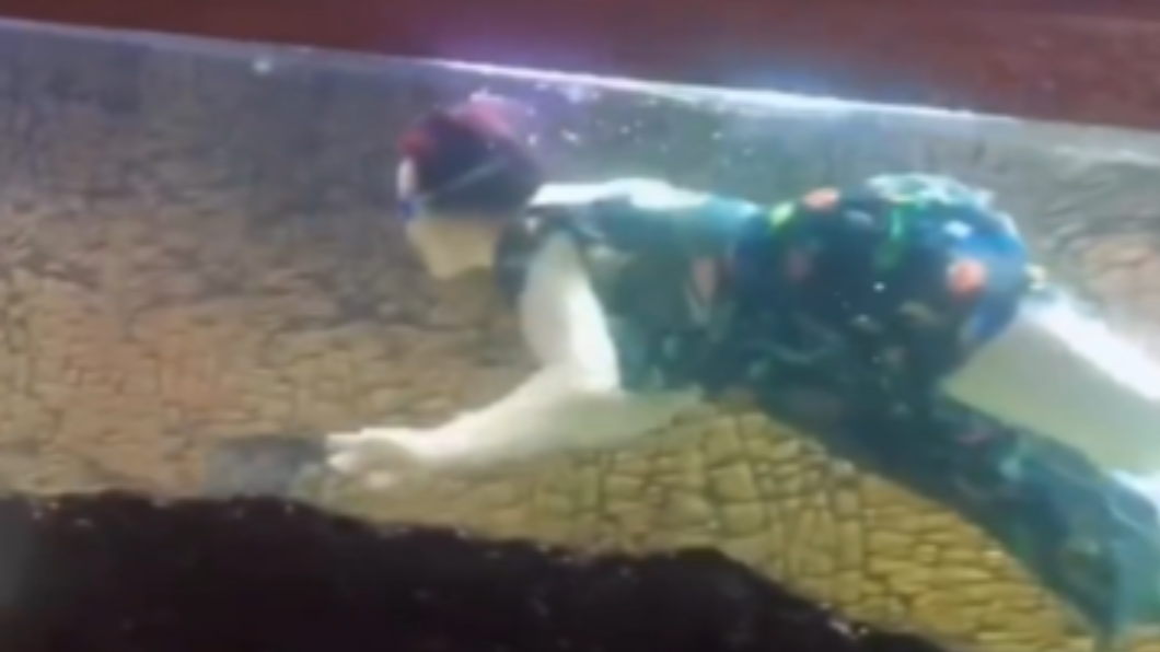 一名網友分享媽媽在魚缸中游泳的奇景。（圖／翻攝自微博）