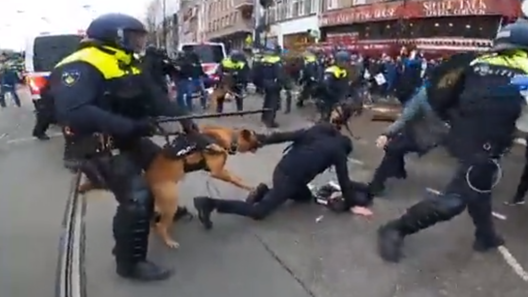 荷蘭警方鎮暴，警犬竟狠咬民眾不放。（圖／翻攝自 Twitter）