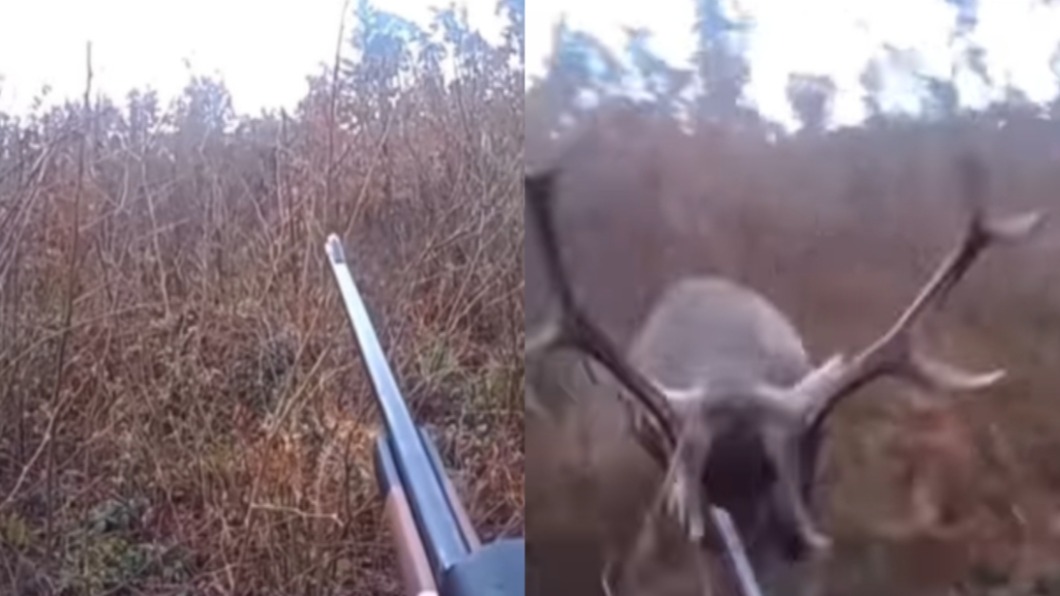 獵人狩獵中遇到兇鹿，整個人被撞倒。（圖／翻攝自gy6outdoors IG）