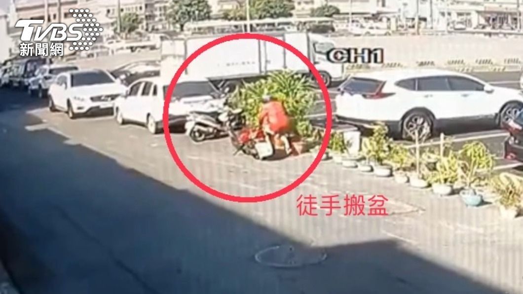 7旬婦偷神秘果盆栽，警方以車追人將其送辦。（圖／讀者提供）