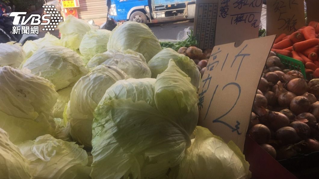高麗菜零售價跌至每台斤12元。（圖／中央社）