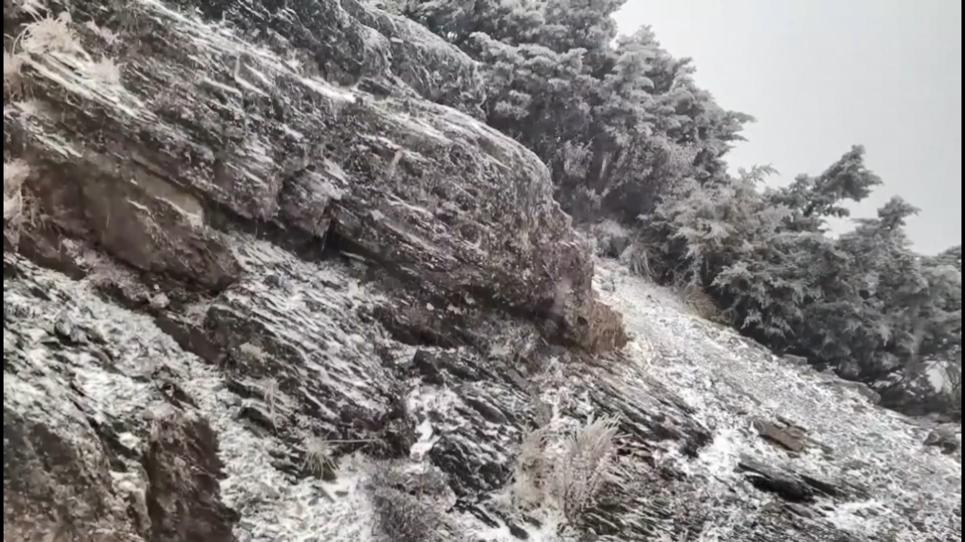 玉山今（1）日已降雪。（圖／翻攝自中央氣象局長鄭明典臉書）