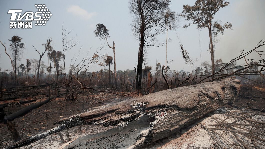 亞馬遜森林破壞速度增加，比往年同期增加56.6%。（圖／達志影像路透社）