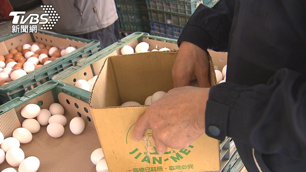 蛋雞的產蛋率下降，產量未能滿足市場需求。（圖／TVBS）