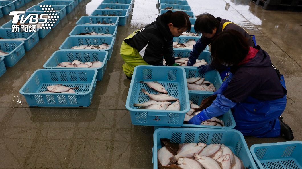 福島縣海域捕獲的魚隻驗出過量放射性銫。（示意圖，與本事件無關／達志影像美聯社）