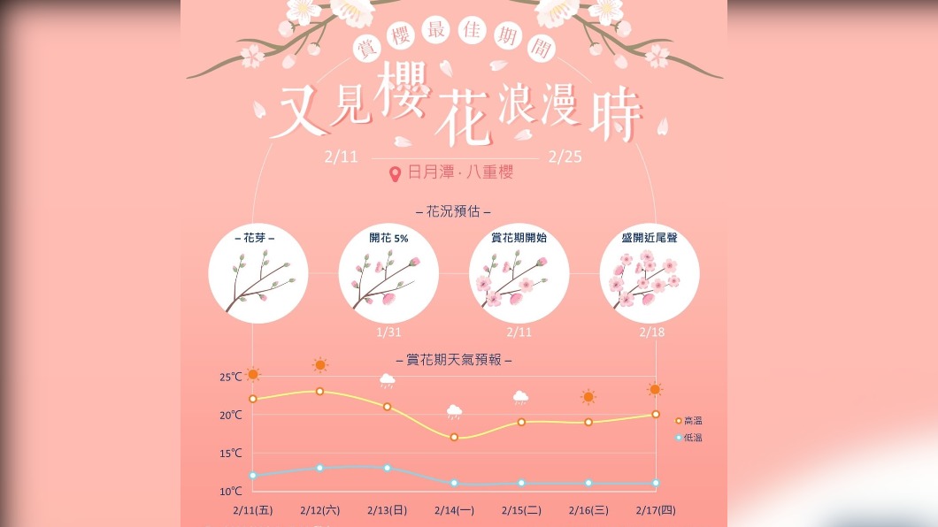 Photo / The Central Meteorological Administration is "warm as spring" today!  Sun Moon Lake romantic cherry blossom viewing weather forecast released