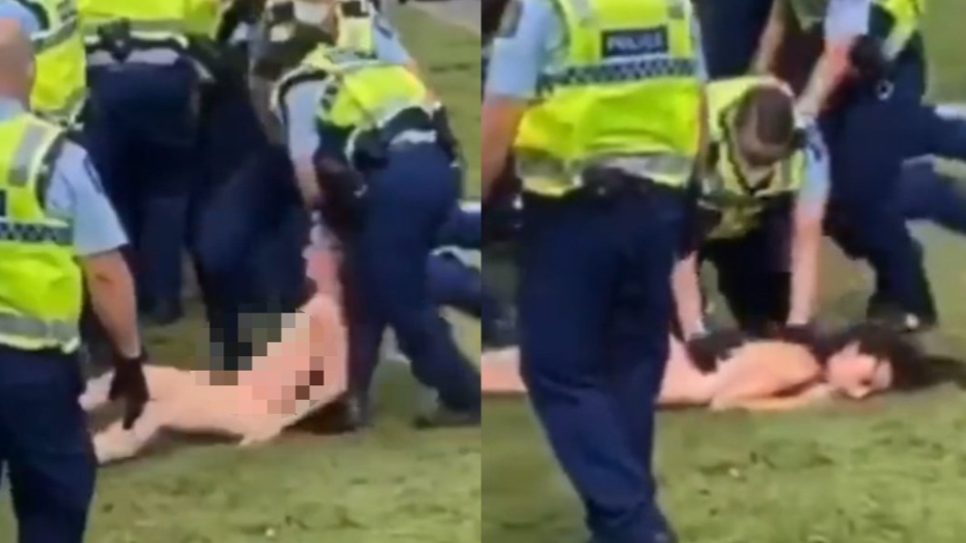 紐西蘭抗議裸女遭警扯髮拖行。（圖／翻攝自@aginnt推特）