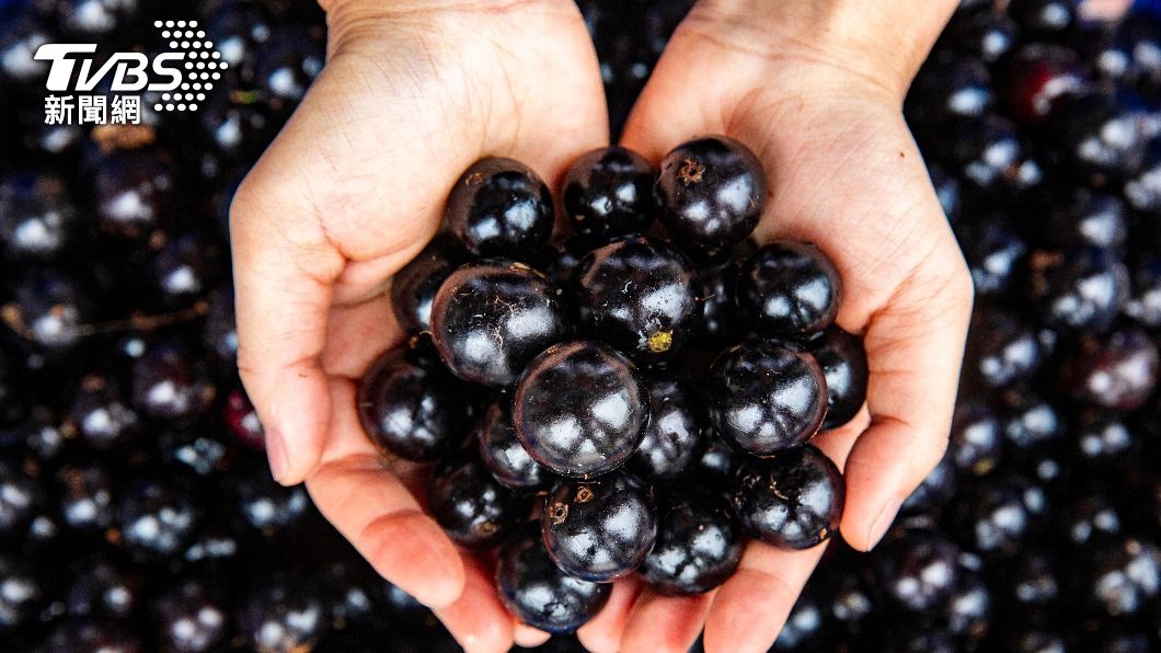 巴西莓是營養界公認的超級水果。（示意圖／shutterstock達志影像）