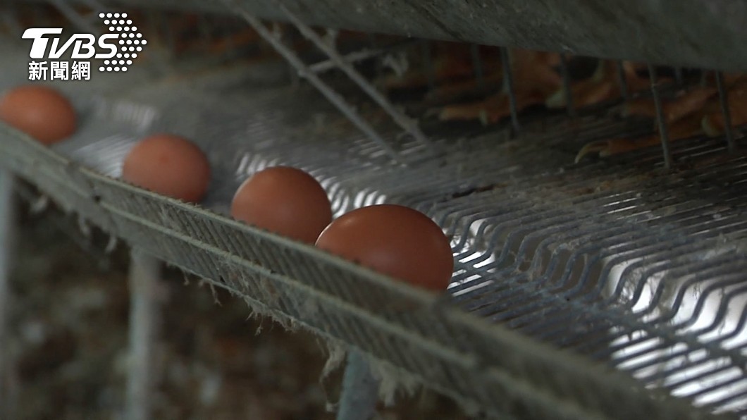 天氣回暖，雞蛋供應恢復正常。（示意圖／TVBS）