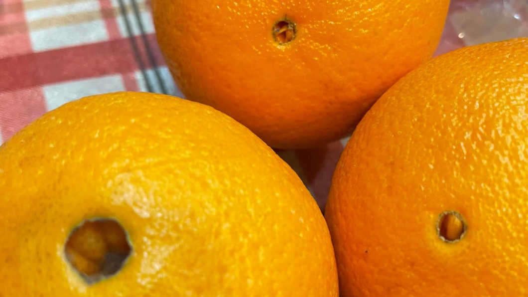 臍橙有獨特的洞。（圖／翻攝自臉書社團《COSTCO 好市多 商品消費心得分享區》）