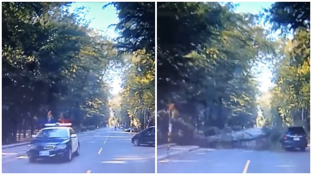 警車差點遭路樹砸中。（圖／翻攝自台南諸事會社）