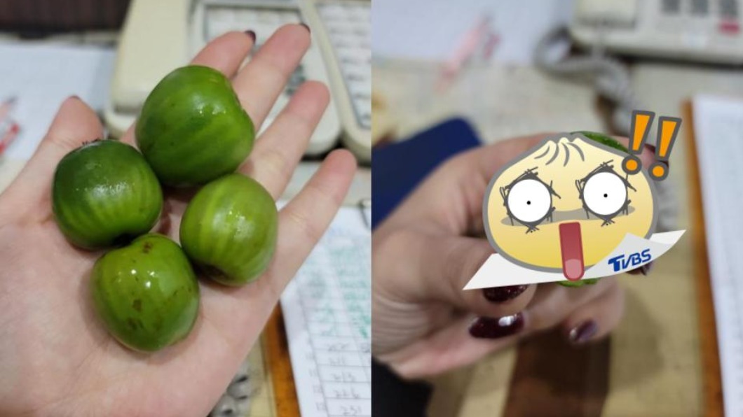 網友收到奇特的綠色果實。（圖／翻攝自爆廢公社）