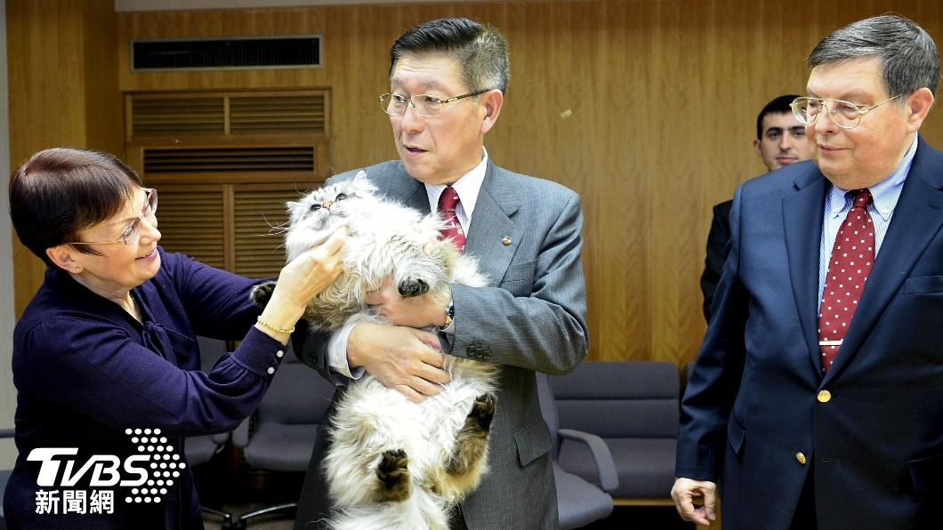 普欽於2013年贈送日本秋田縣知事一隻西伯利亞貓。（圖／達志影像美聯社）