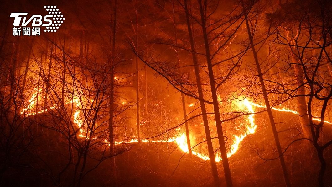 南韓東岸山火已連燒8天，期間更一度危及韓蔚核電站。（圖／達志影像歐新社）
