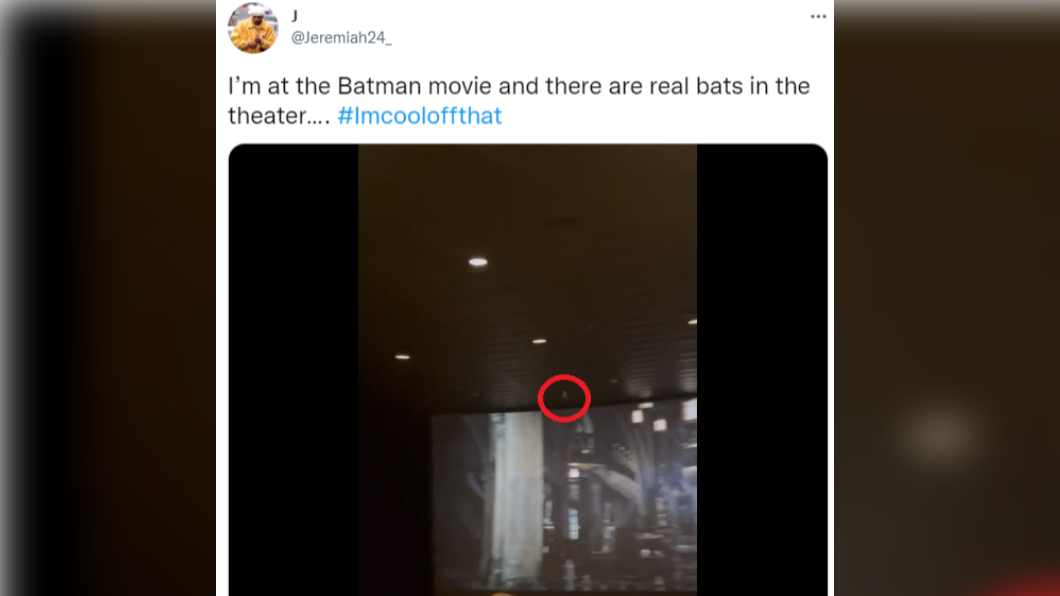 美國德州戲院播放《蝙蝠俠》時，竟有活生生的蝙蝠在影廳盤旋。（圖／翻攝自Jeremiah24_推特）
