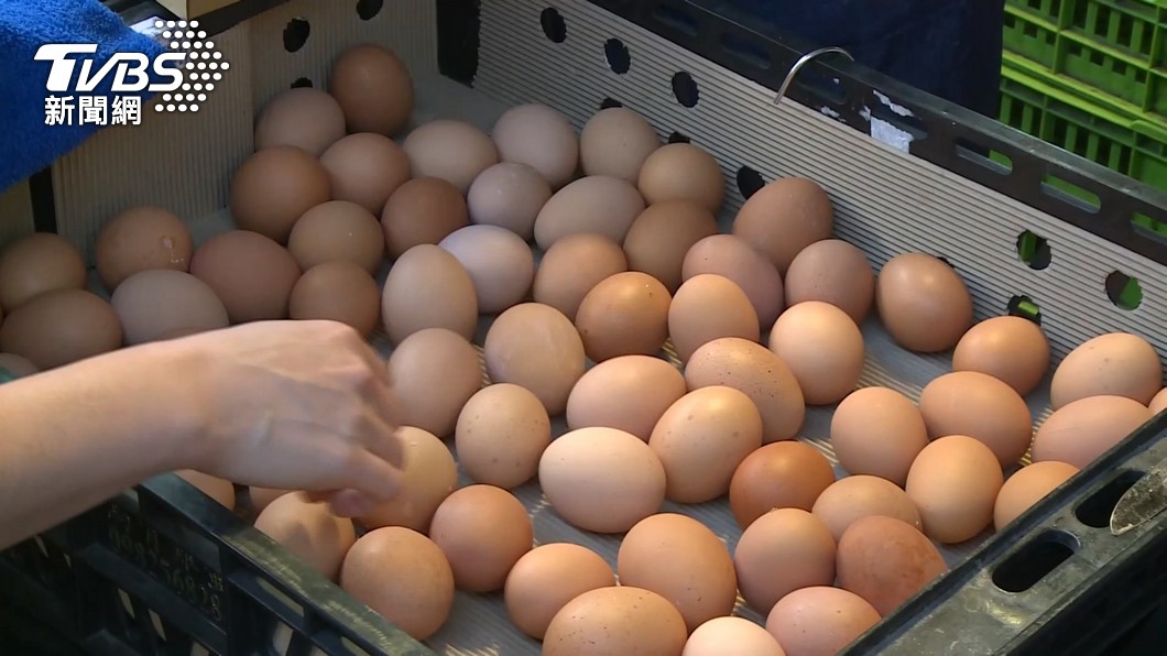 雞蛋產量減少且需求增缺蛋暫無解。（圖／TVBS）