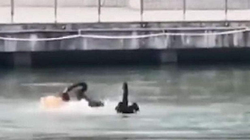 南京一名男大生在湖裡游泳時與黑天鵝打架。（圖／翻攝自新周刊）