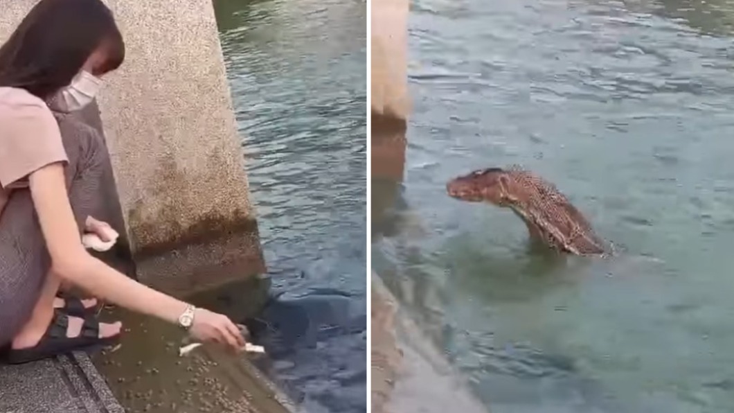 女子在水邊餵烏龜竟遇「巨型水怪」。（圖／翻攝自臉書）