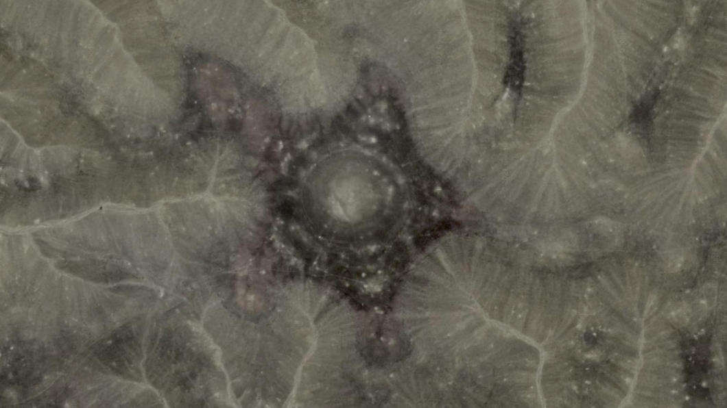 幽浮獵人在北非發現「神祕五角星」。（圖／翻攝自Google Earth）