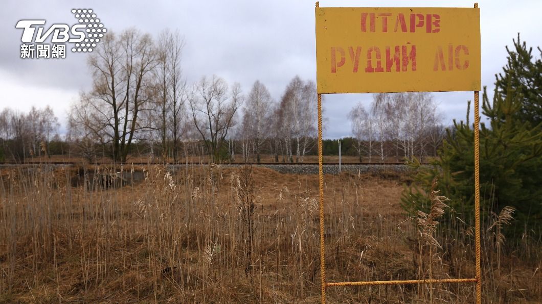 車諾比核電廠員工透露俄軍毫無防護穿越高輻射地區。（示意圖／shutterstock達志影像）