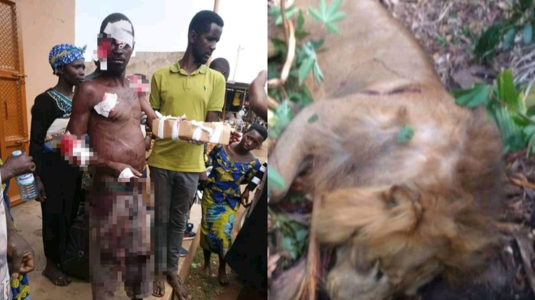 該名受傷的烏干達男子實際上是烏干達人民國防軍士兵，獅子也是被軍方擊斃。（圖／翻攝自
