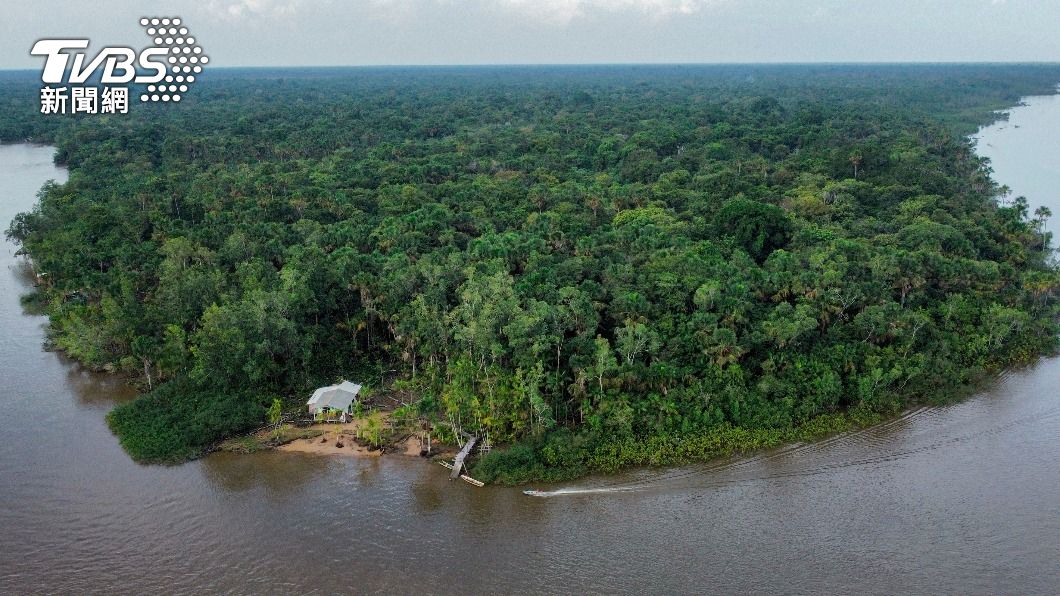 今年4月亞馬遜雨林的砍伐量達到「歷年4月新高」。（圖／達志影像美聯社）