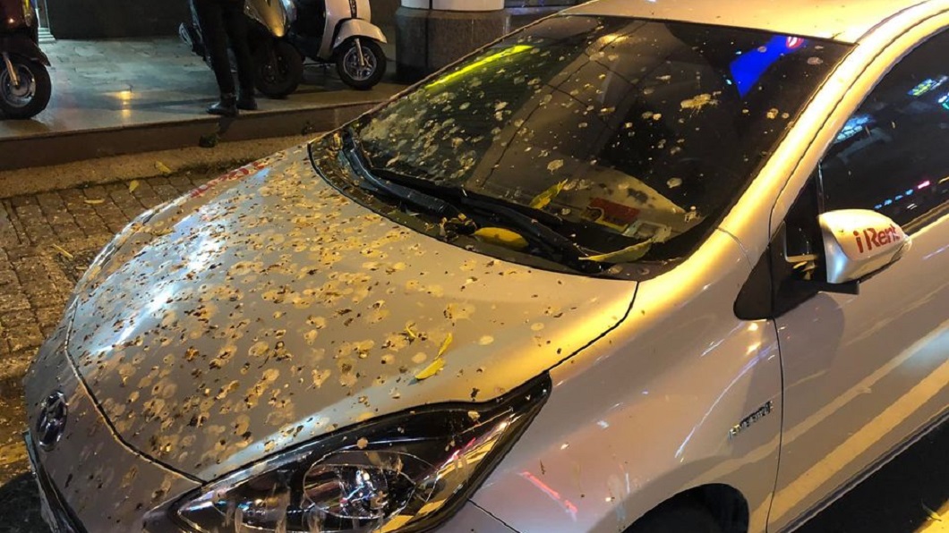 有網友分享路邊停車格一輛汽車遭到鳥屎瘋狂攻擊。（圖／翻攝自爆廢公社）