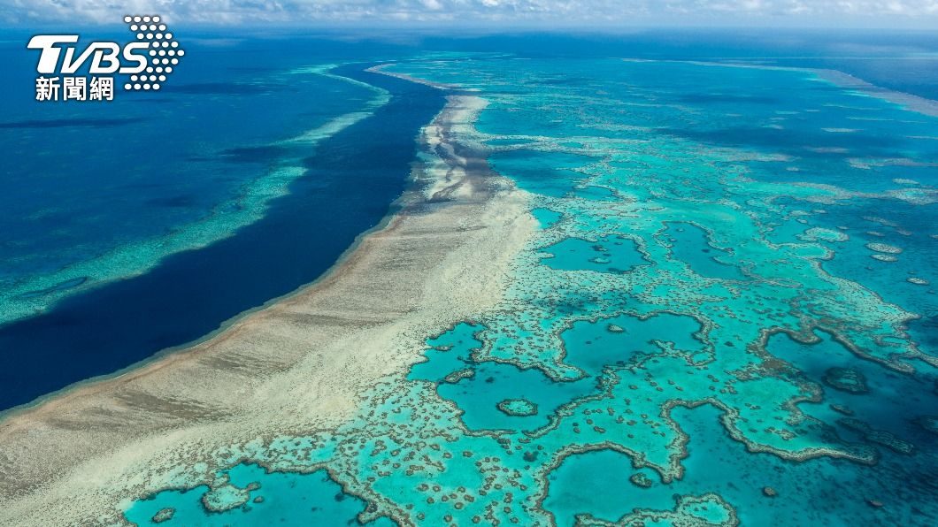 澳洲大堡礁擁有全世界面積最大的珊瑚礁群。（圖／達志影像美聯社）