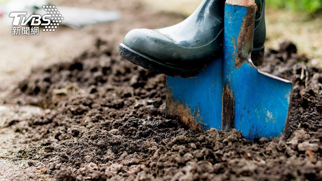 美國一名男子在自家後院挖土埋屍時突然身亡。（示意圖／shutterstock 達志影像）