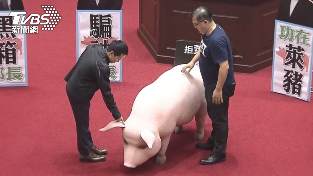 五藍營市議會申請萊豬釋憲。（圖／TVBS資料畫面）