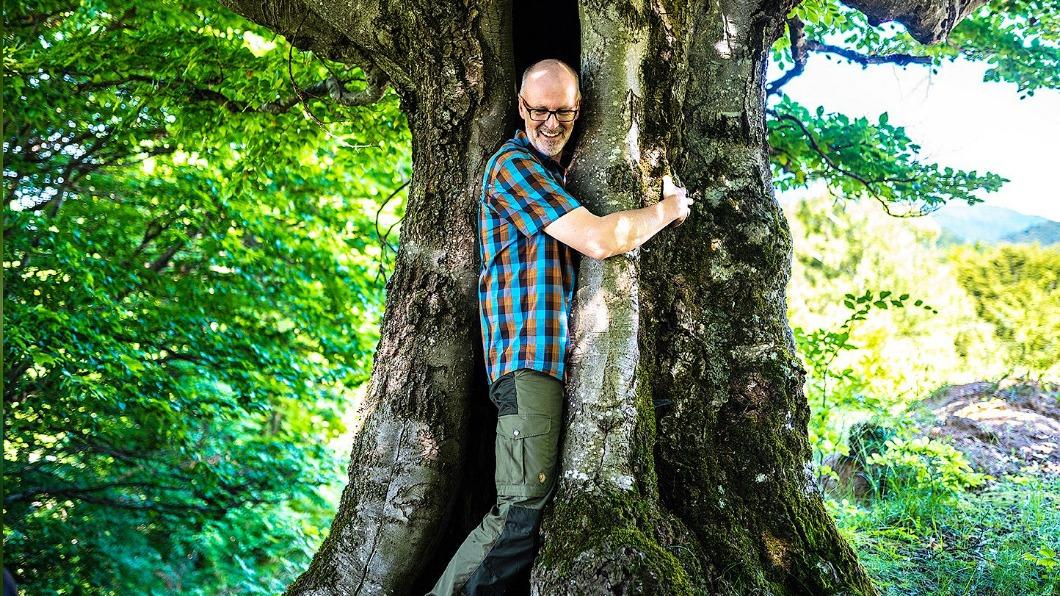 能跟樹木交談《自然就樹美》彼得渥雷本魅力導覽奪獎。（圖／海鵬提供）