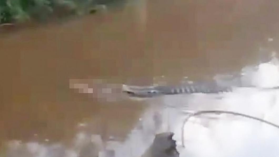 鱷魚叼著只剩一半的屍體在河中前進。（圖／翻攝自detik.com）