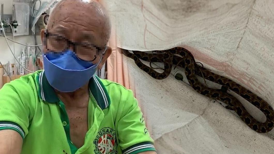 80歲老翁遭龜殼花咬。（圖／新店耕莘醫院提供）