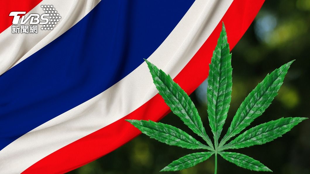 泰國政府今（9）日正式將大麻從毒品管制名單中移除。（示意圖／shutterstock 達志影像）