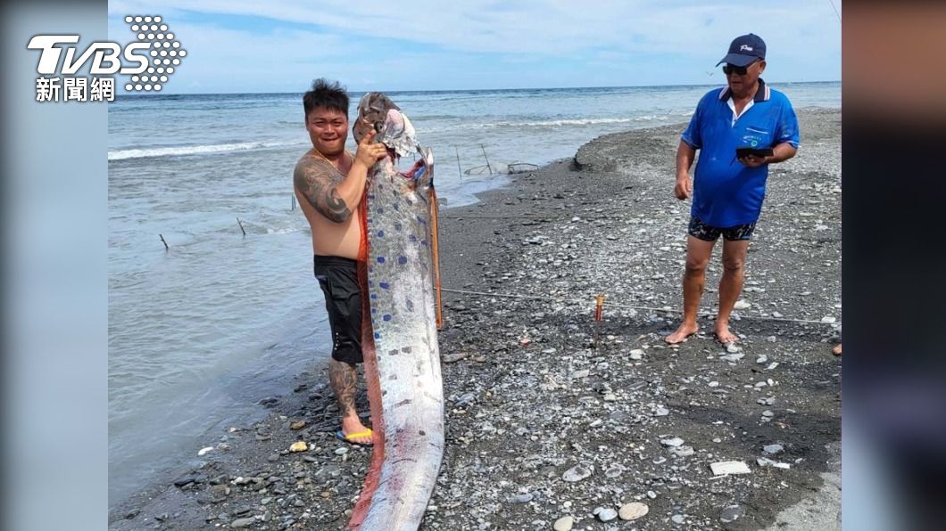 台東釣客在太麻里海邊釣上一條約6米長的勒氏皇帶魚。（圖／中央社）