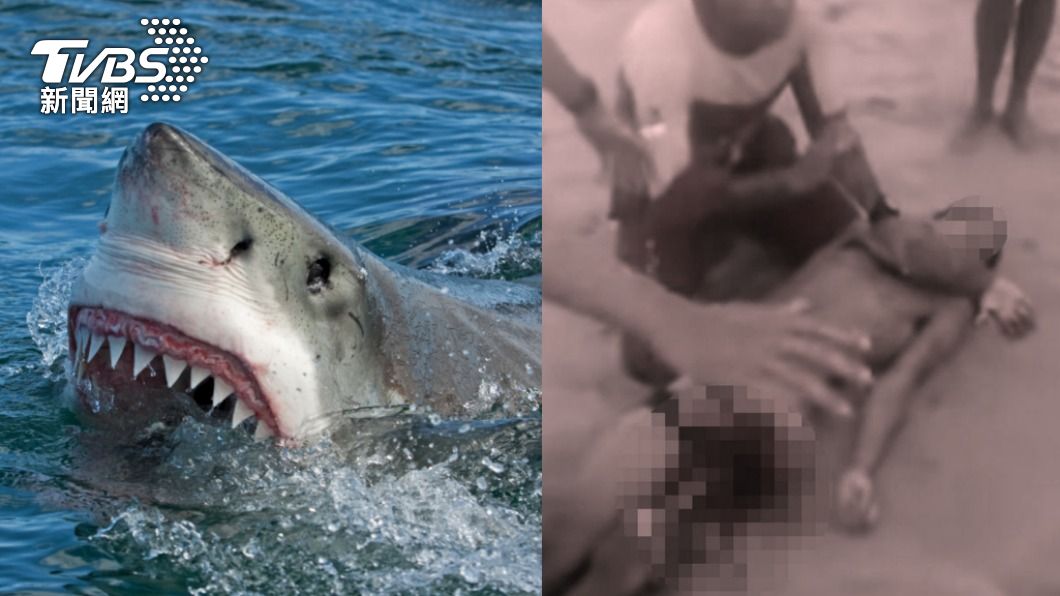 四年前巴西18歲少年被鯊魚咬斷下體。（示意圖／shutterstock達志影像、《每日星報》）