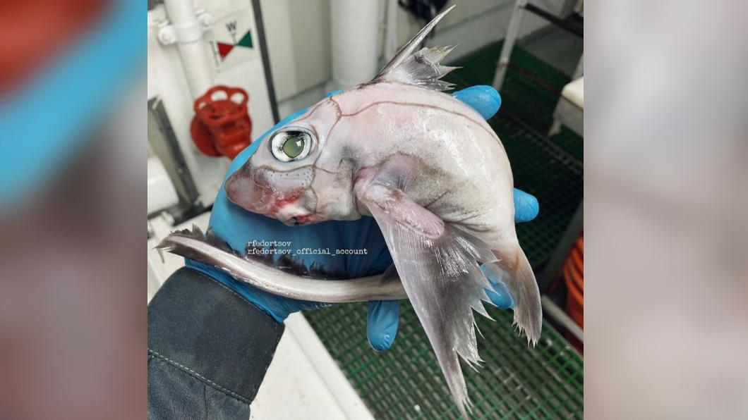 一名漁夫補到「科學怪魚」。（圖／翻攝自 rfedortsov_official_account IG）