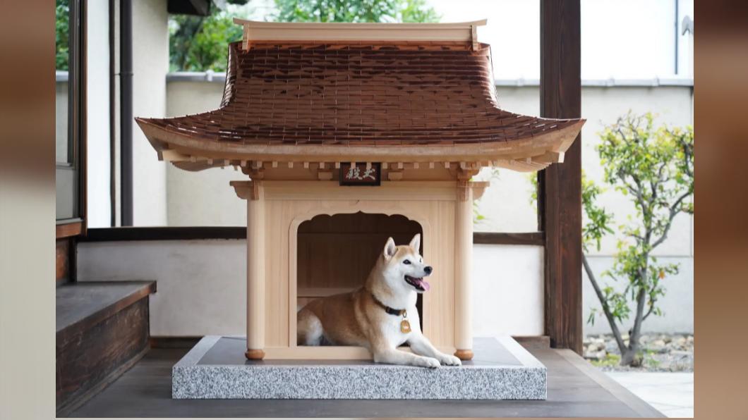 日本推出高價狗屋。（圖／翻攝自犬殿官網）