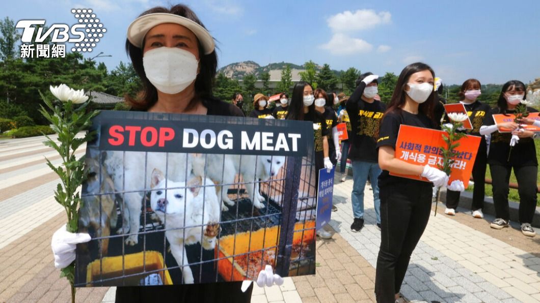 在第一夫人金建希鼓吹遊說下，南韓即將修法禁止吃狗肉。（圖/達志影像美聯社）