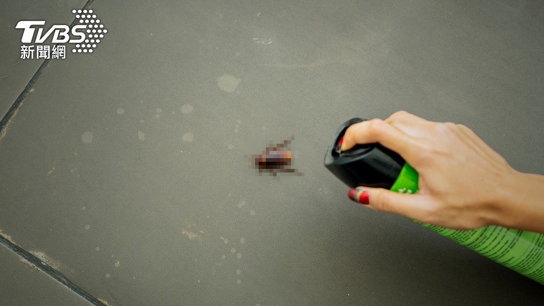 一般人若是看到蟑螂出沒會直接將其打死或是拿出殺蟲劑滅蟑。（示意圖／shutterstock 達志影像）